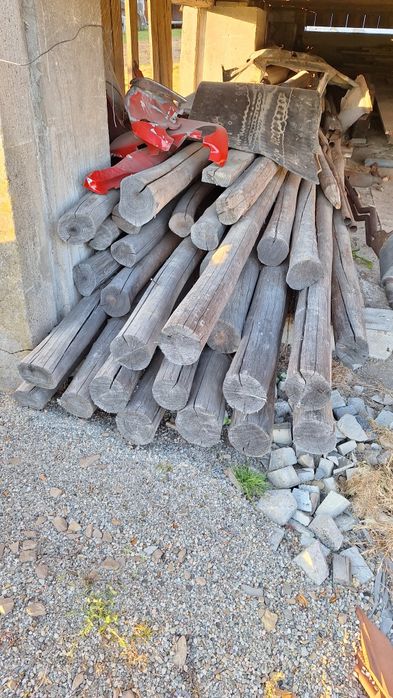 Bardzo stare drzewo stemple belki londyny