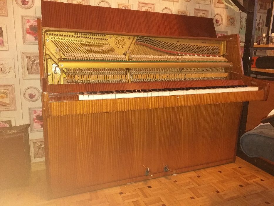 Pianino idealne dla początkujących w muzyce