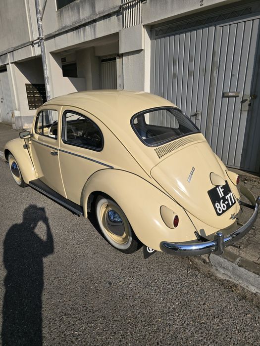 Carocha para eventos