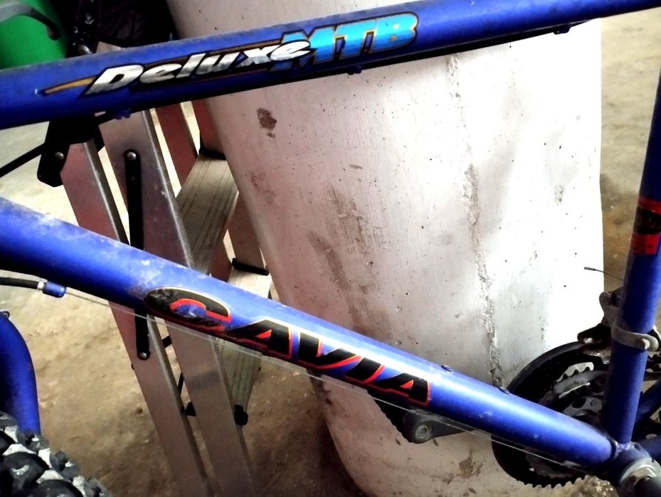 Bicicleta Cavia Deluxe MTB