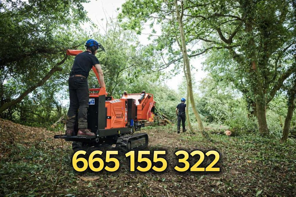 Timberwolf TW 230VTR D – rębak hydrauliczny 15 CM Diesel gąsienicowy