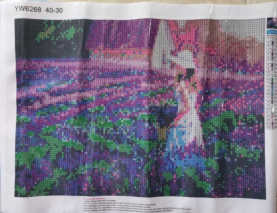 Diamond Painting Canvases to Be Completed (Various, See Photos)64729679222915123