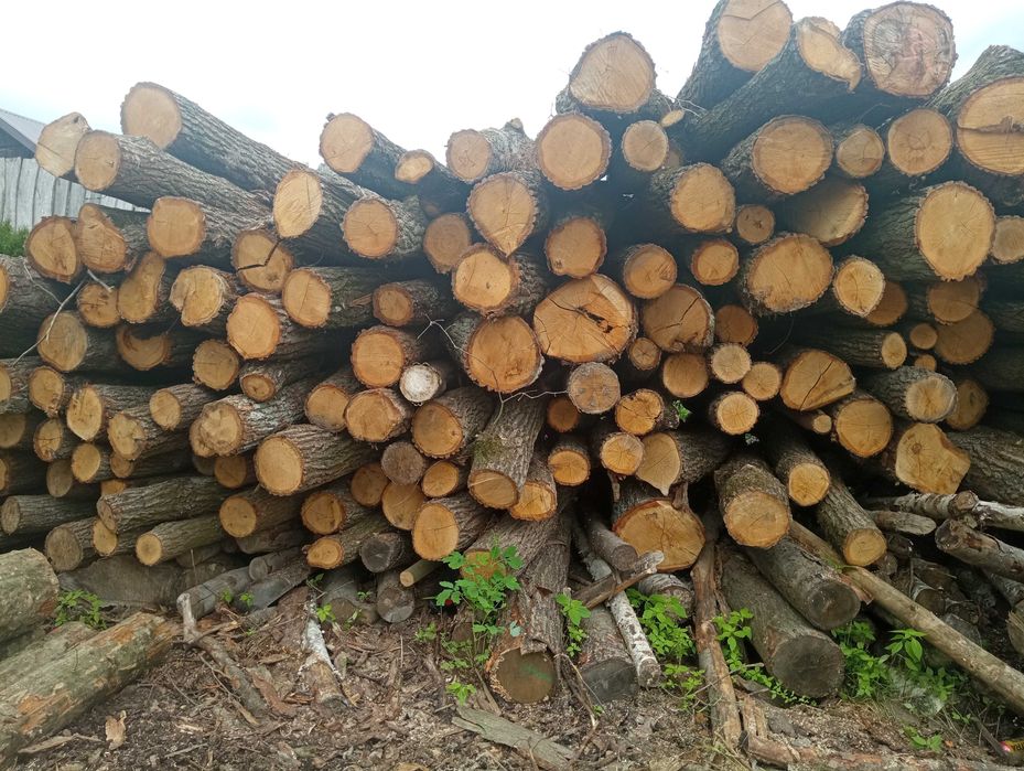 Drewno opałowe w wałkach