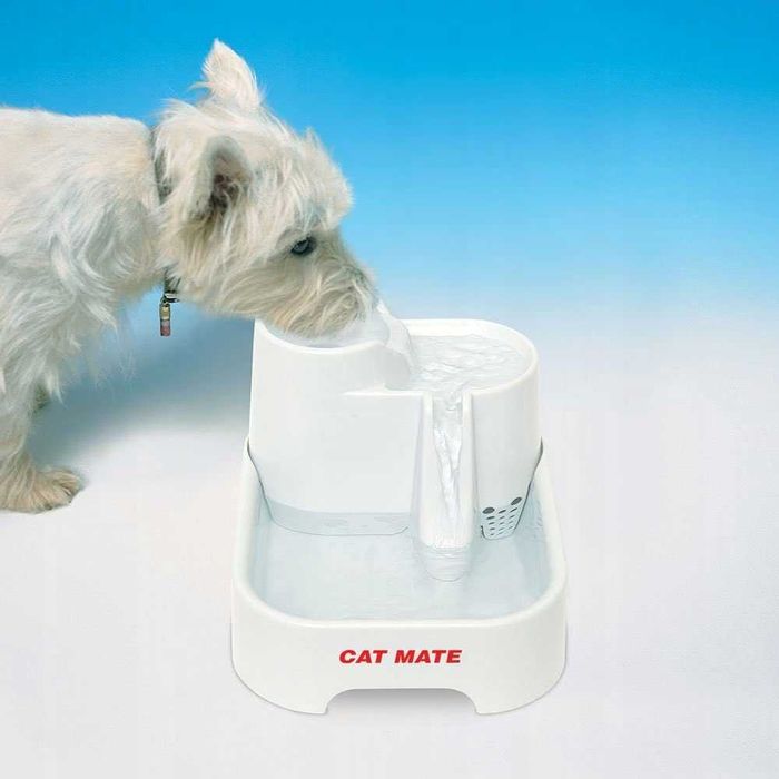 Bebedouro para Cães e Gatos