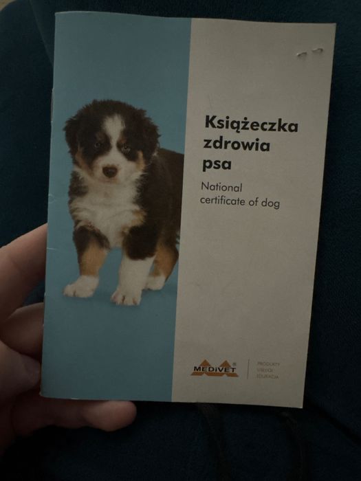 Szukam Pilnie nowego domu :)