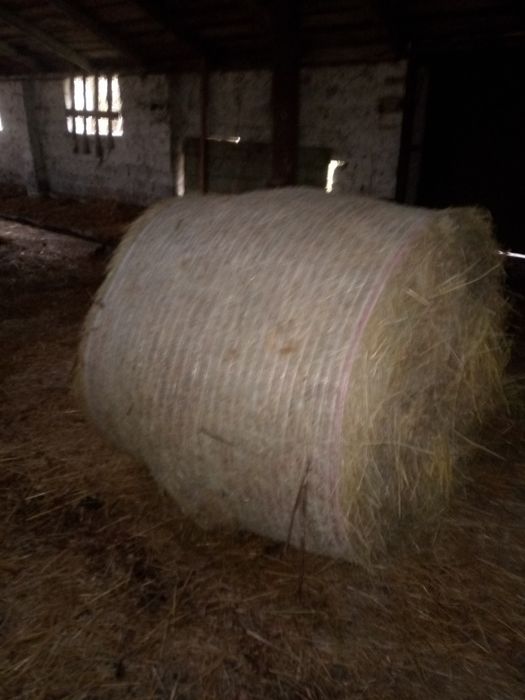 Сено в рулонах   .