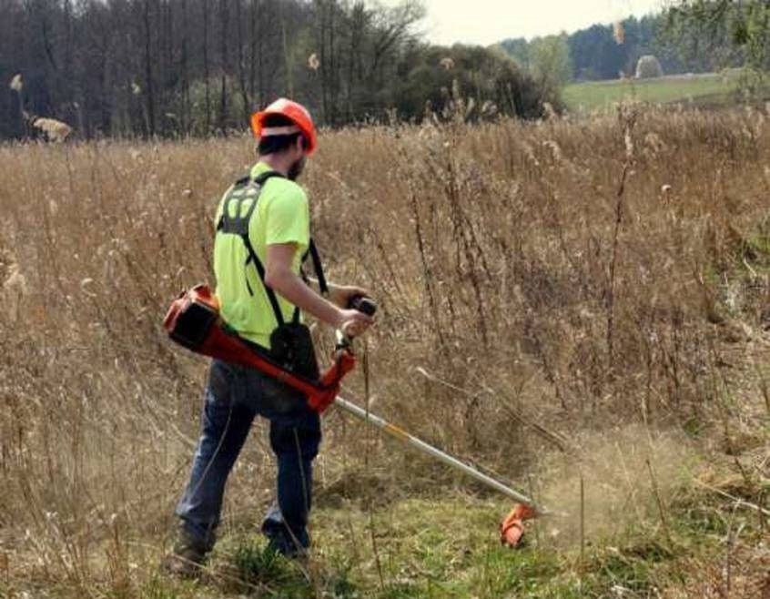 Koszenie trawy, pielęgnacja ogrodów