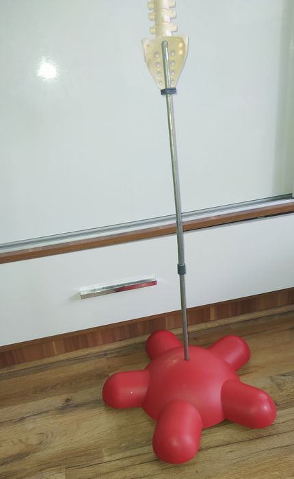 Kosciotrup ciało czlowieka