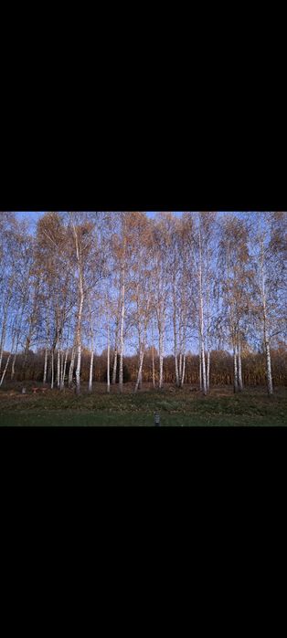 Działki budowlane Stok Lacki