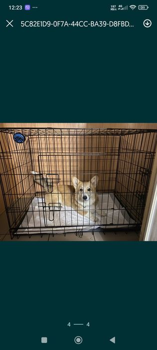 Клітка для ваших улюбленців