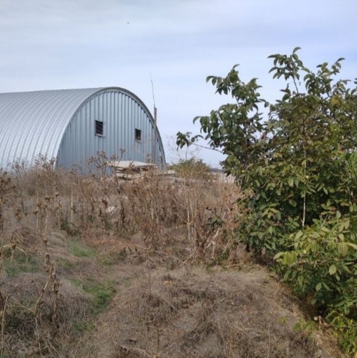 Продам Сельхоз Предприятия. Овидеополь ский раион 4500га земли