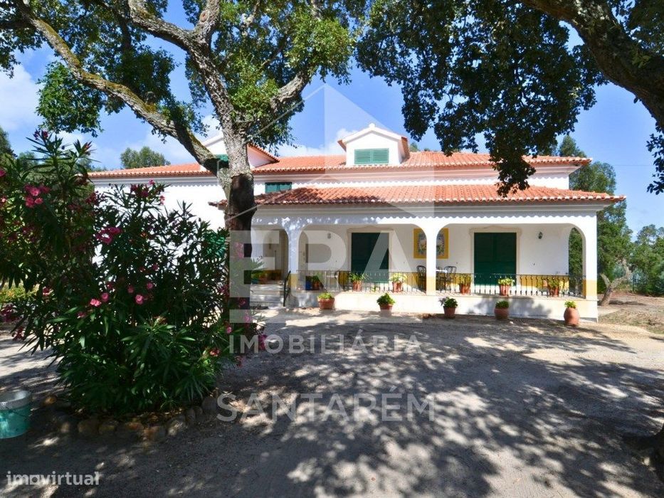Quinta com 5,8 hectares, em Santarém