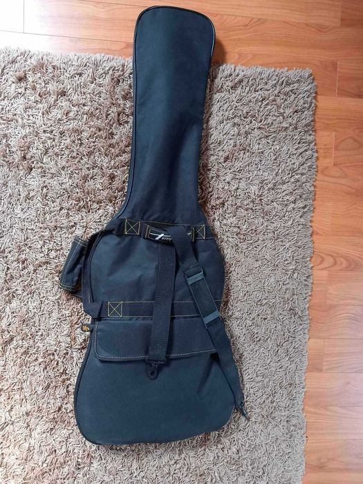 gitara washburn ws300