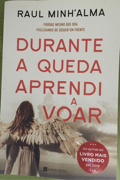Livro Durante a queda aprendi a voar