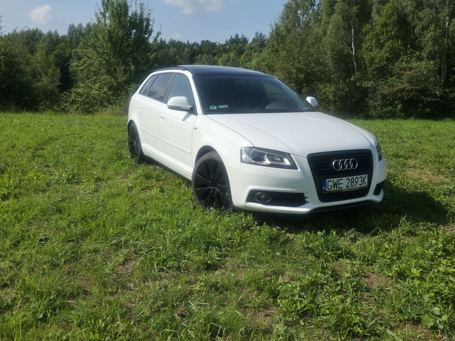 Audi A3 8P 2.0TFSI