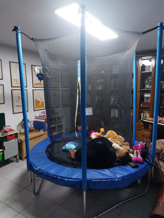 Trampolim criança