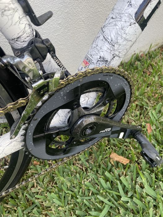 Focus cayo (tamanho S)