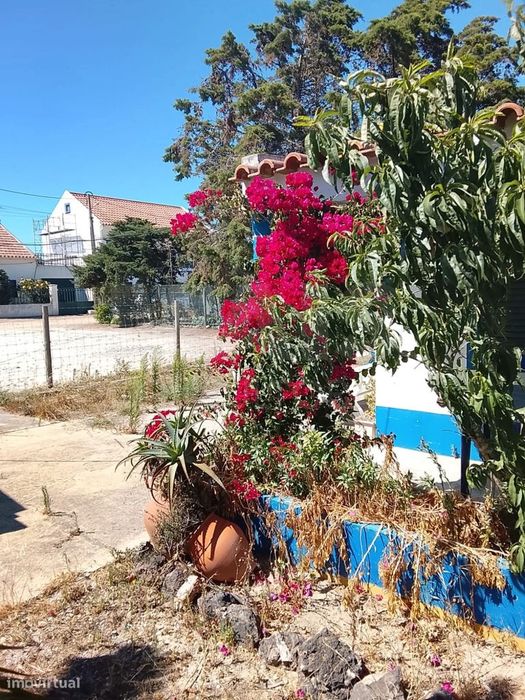 Moradia T2 com Quintal, Terraço e Churrasqueira em Vila Nova de Mil...