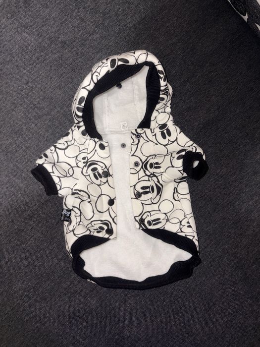 Одежда для собак