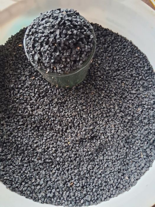 Насіння  цибульки