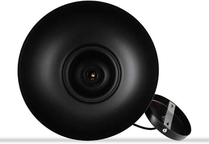 Czarna metalowa industrialna lampa ASVERT Ø 30cm