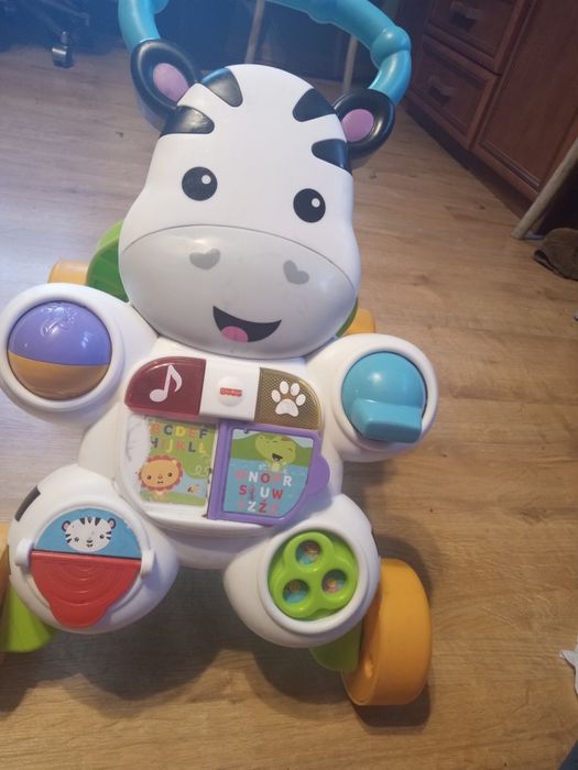 Interaktywny chodzik zebra