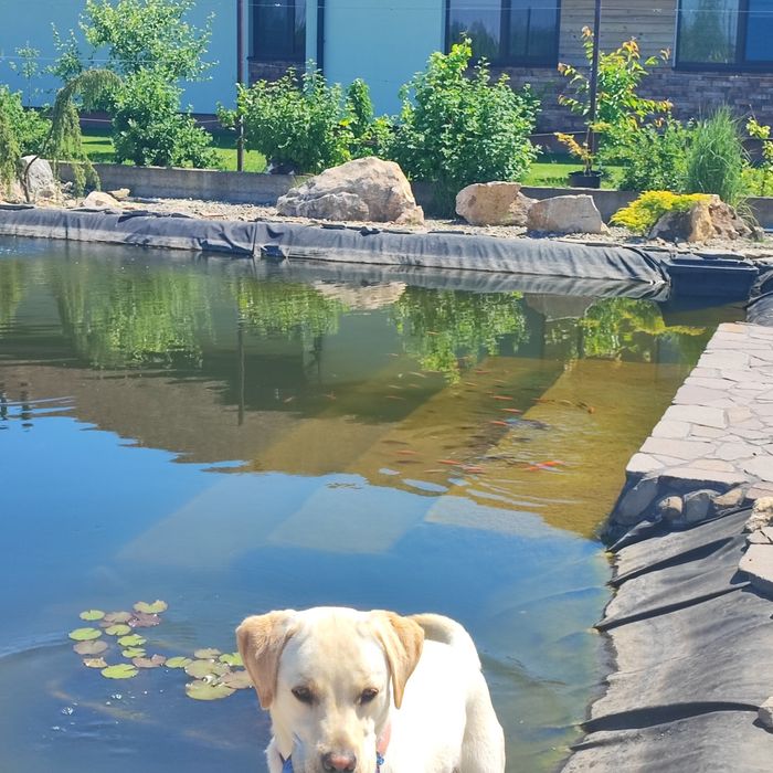 Продається будинок