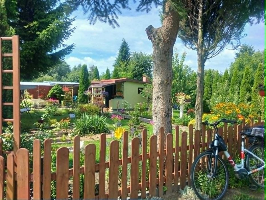 Działka ROD Piastowsk - Międzyrzecz  – 300 m², domek, prąd, oczko wodne