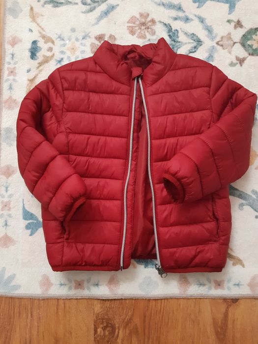 Kurteczka wiosenna, jesienna.