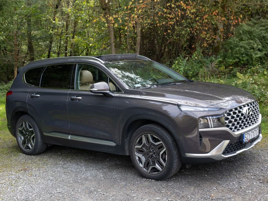 Hyundai Santa Fe Hyundai Santa Fe 1.6 T-GDI HEV Platinum 4x4