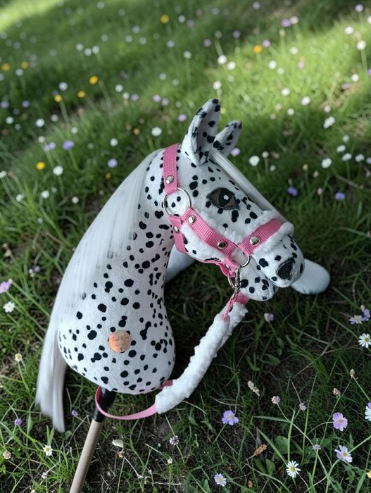 Hobby Horse Tarantowaty