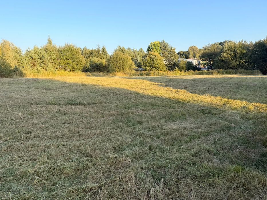 Koszenie łąk i nieużytków