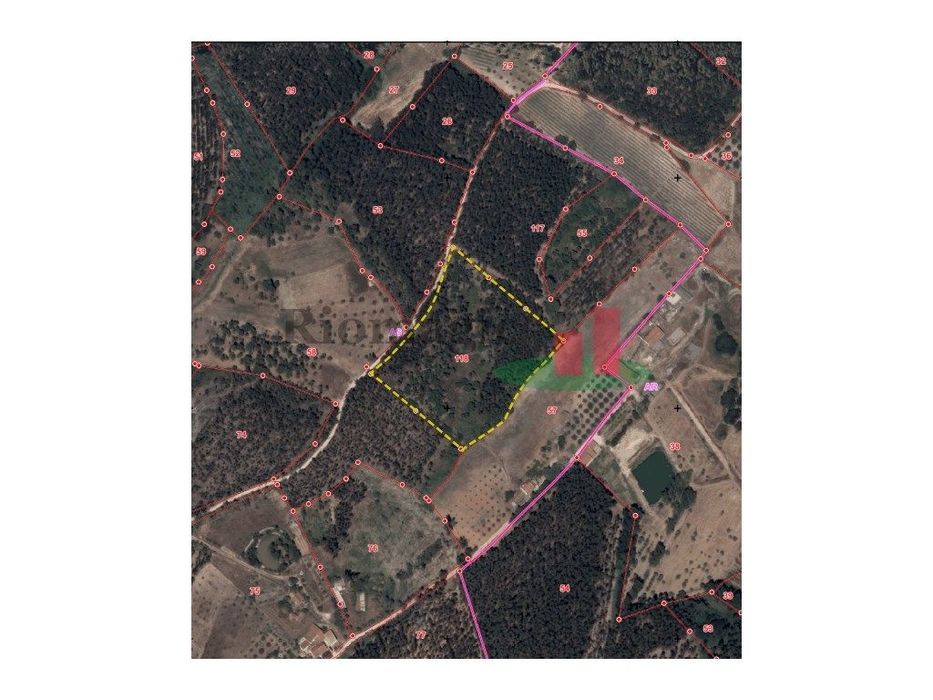 Terreno rústico Vale Piloto/Rio Maior ***RIOMAGIC***