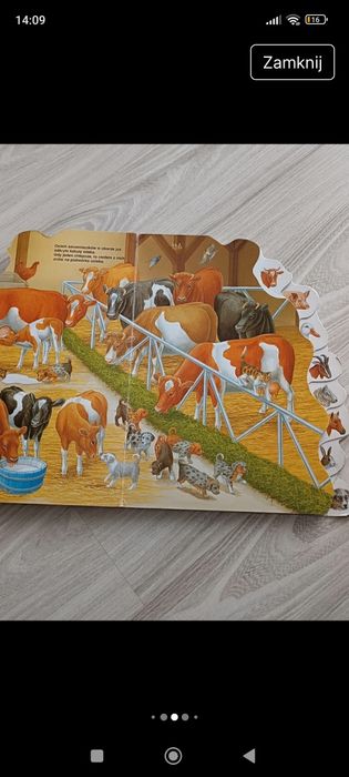 Zestaw Książek dla dzieci