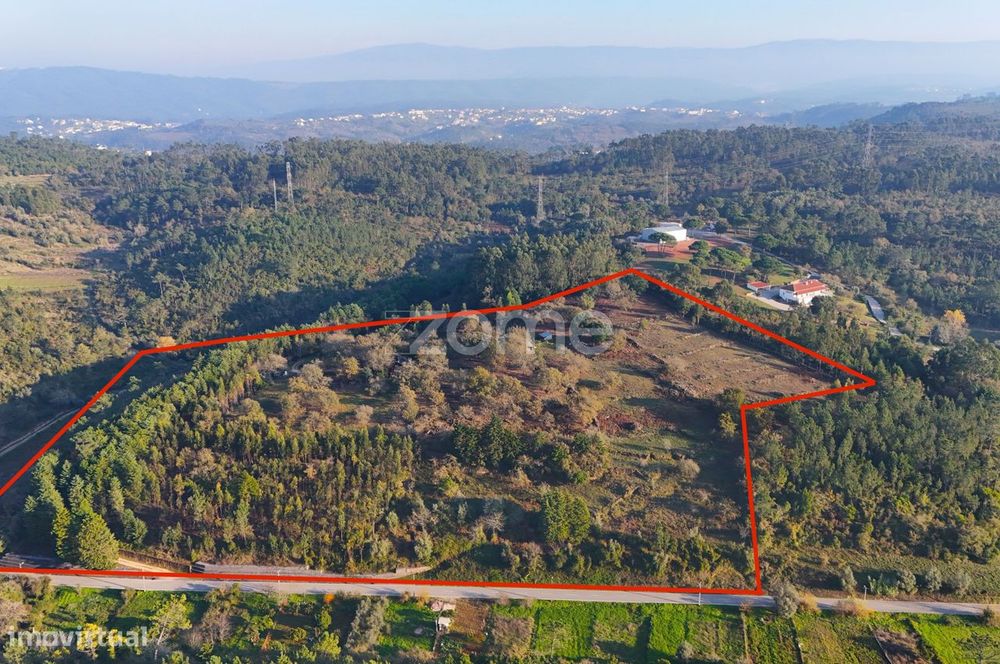 Quinta com cerca de 5,5ha - Património Natural com Potencial Único