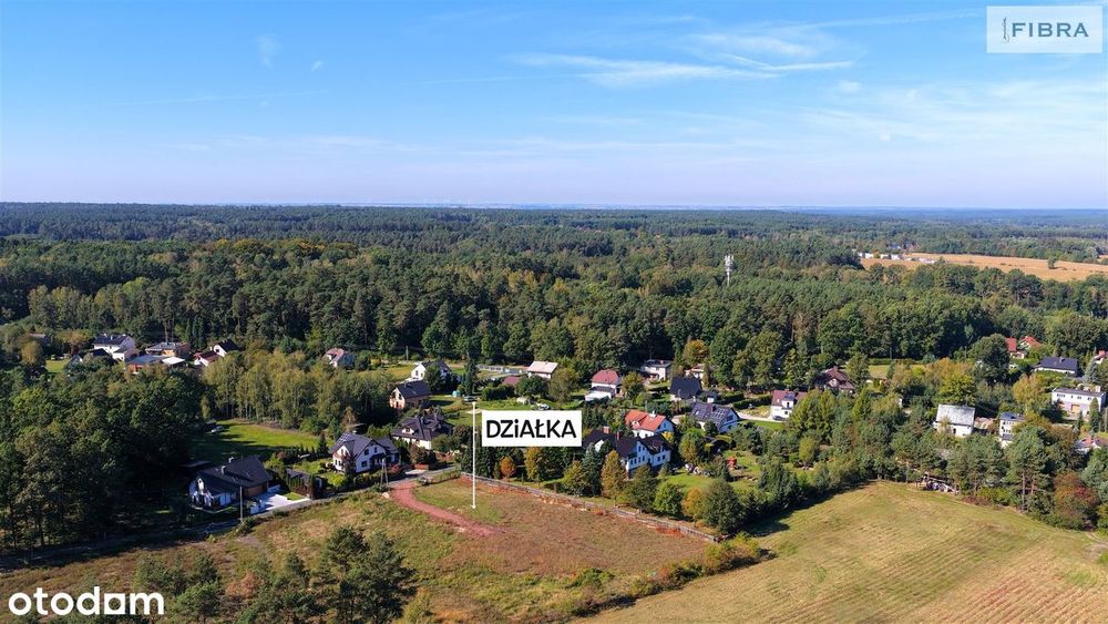 Tam, gdzie śpiewają ptaki