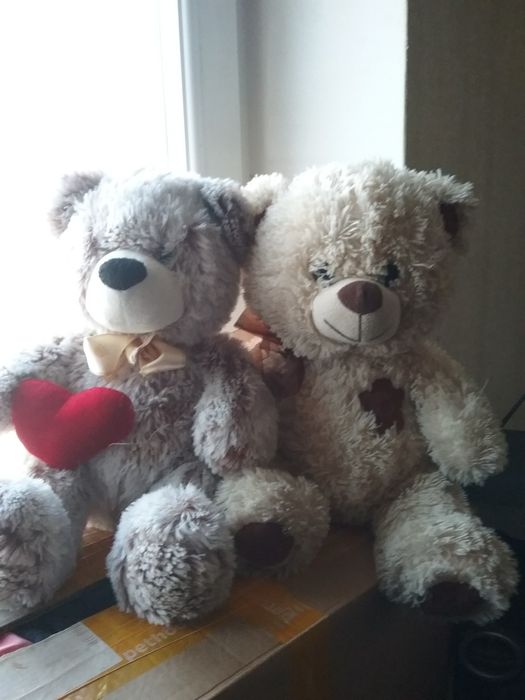 пара мишек, мяккие пушистые ведмеди