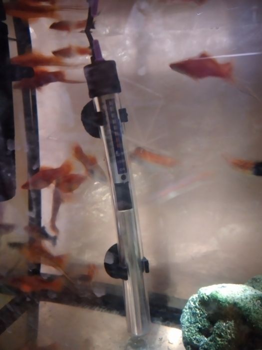 Аквариум природа !