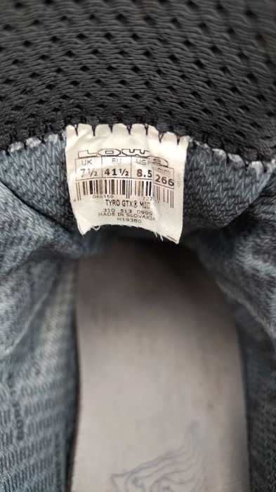 Трекінгові черевики Lowa TYRO GTX