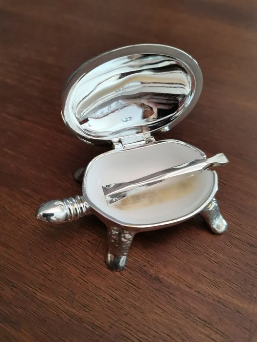 Pequena tartaruga em casquinha