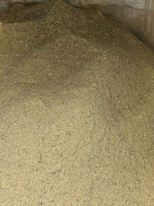 Kukurydza ziarno mielone kiszonkę big bag. Pasza