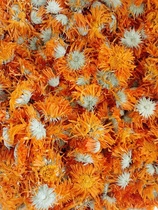 Лікарські рослини