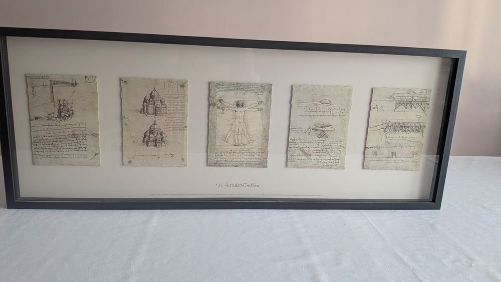 Obraz ilustracje Leonardo da Vinci