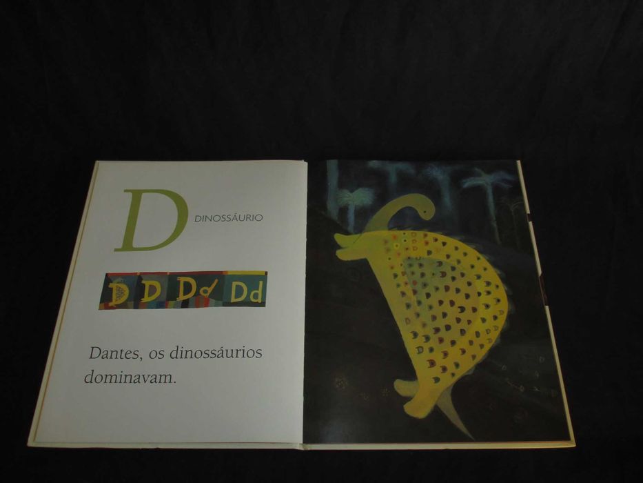Livro O que se vê no abc Daphne W. Rocha