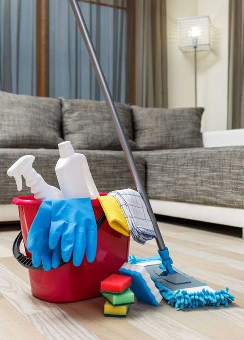 Serviços de Limpeza e Organização