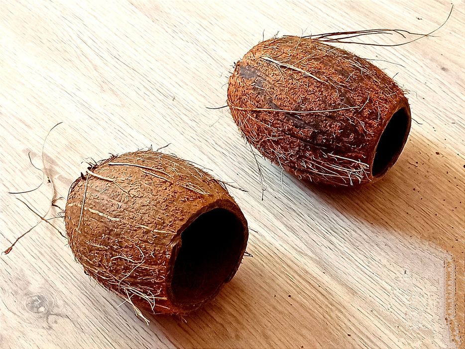 Домик укрытие нерестовик для рыбок креветок раков Кокос натуральный