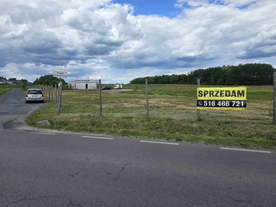 Zdjęcie 4