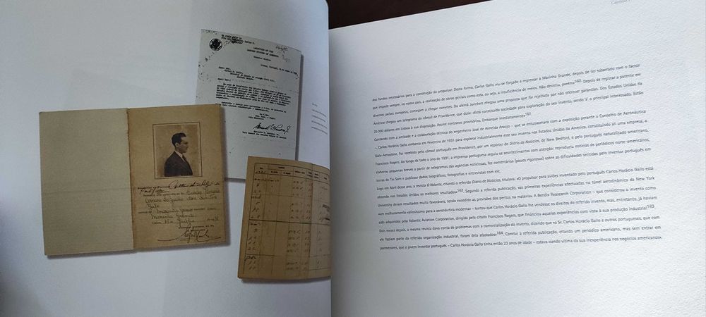 Ricardo Gallo 250 anos