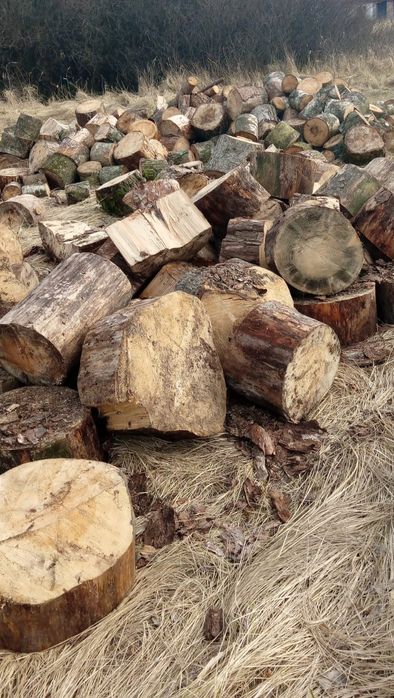 Drewno opałowe kominkowe