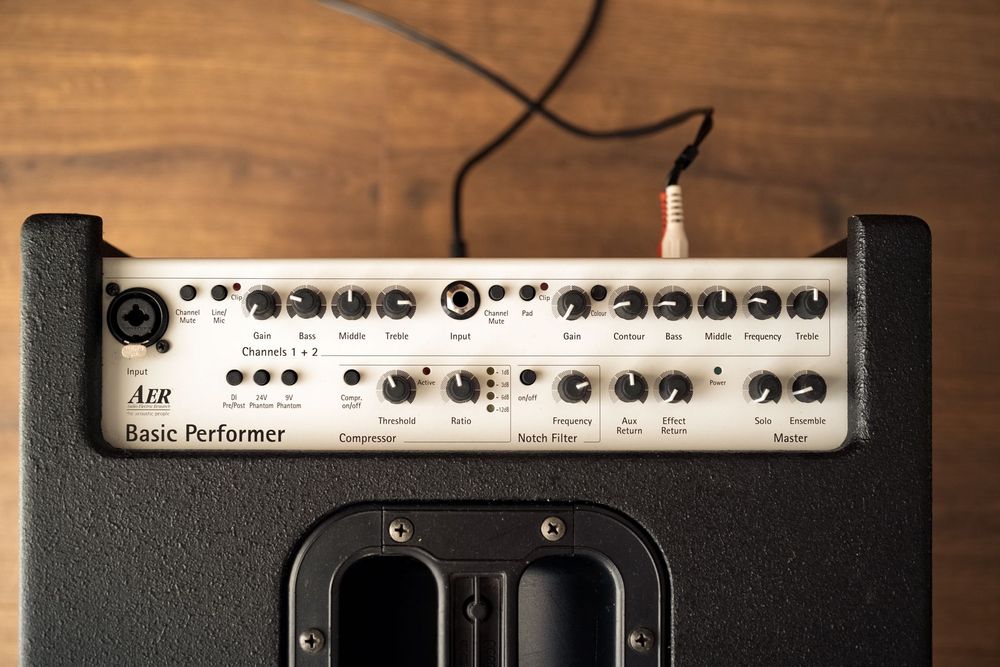 AER Basic Performer amplificador para instrumentos acústicos